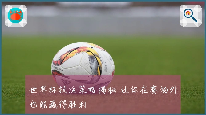 世界杯投注策略揭秘 让你在赛场外也能赢得胜利