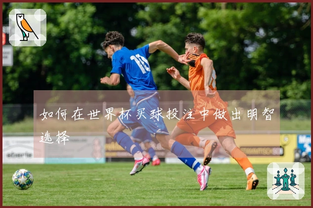 如何在世界杯买球投注中做出明智选择