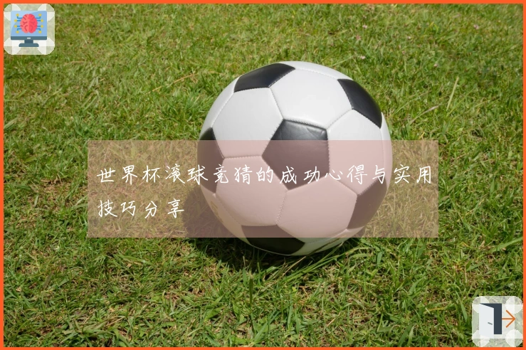 世界杯滚球竞猜的成功心得与实用技巧分享