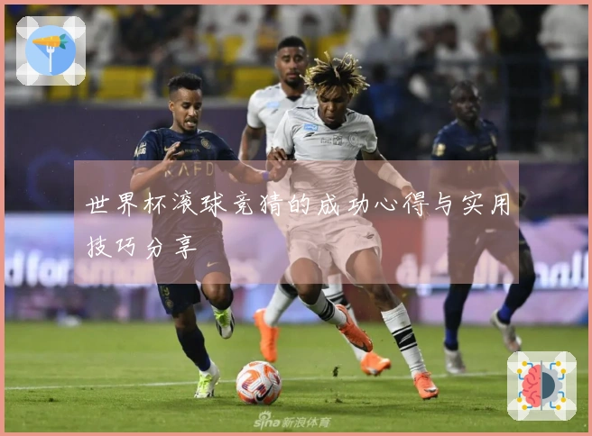 世界杯滚球竞猜的成功心得与实用技巧分享