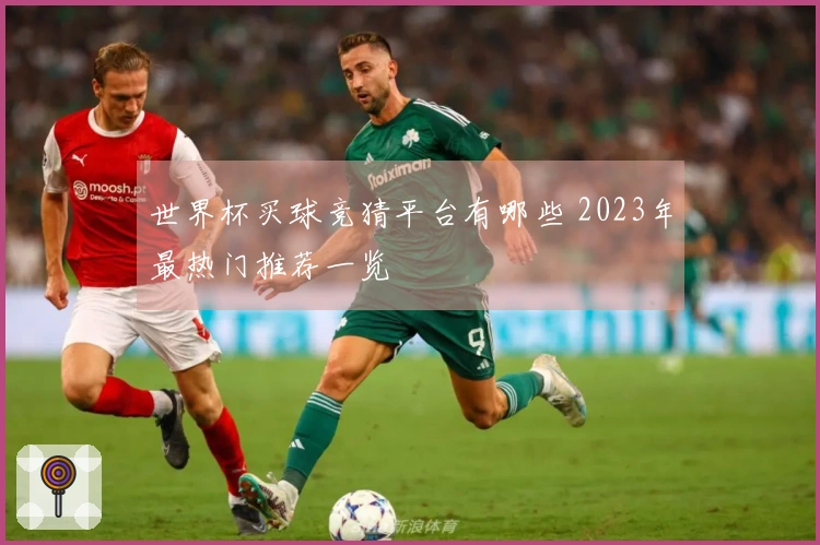 世界杯买球竞猜平台有哪些 2023年最热门推荐一览