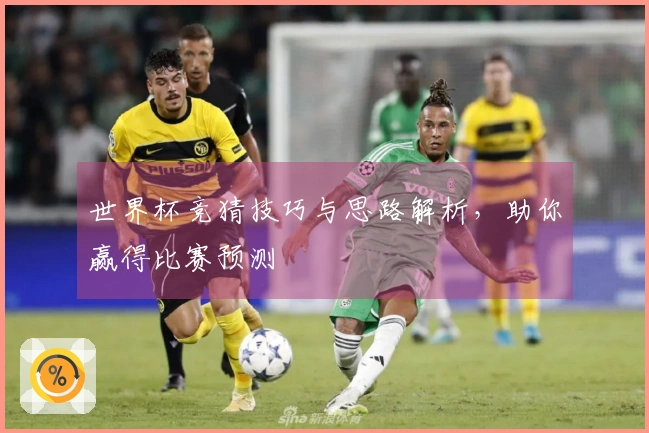 世界杯竞猜技巧与思路解析，助你赢得比赛预测