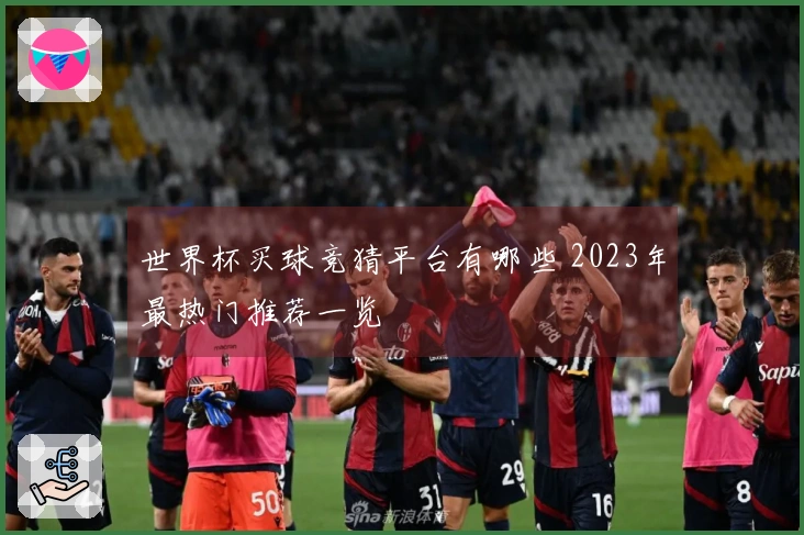 世界杯买球竞猜平台有哪些 2023年最热门推荐一览